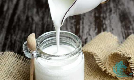 Kefir Nedir, Faydaları ve Zararları Nelerdir ?