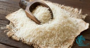Pirinçin Faydaları Nelerdir ? – Bilgi Denizi