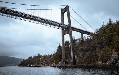 Bergen Hangi Platformda?