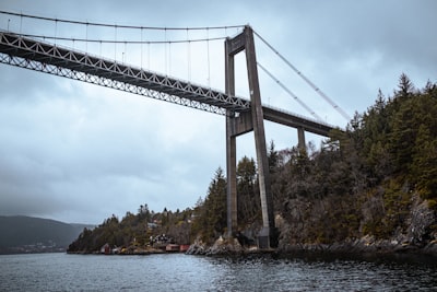 Bergen Hangi Platformda?