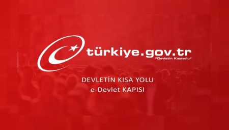 E devlet şifresini unuttum ne yapmam gerekiyor